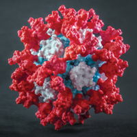 3D model of a new COVID vaccine